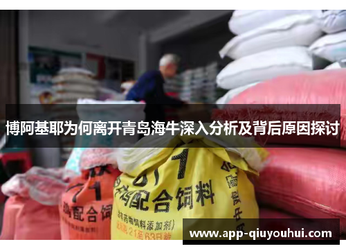 博阿基耶为何离开青岛海牛深入分析及背后原因探讨